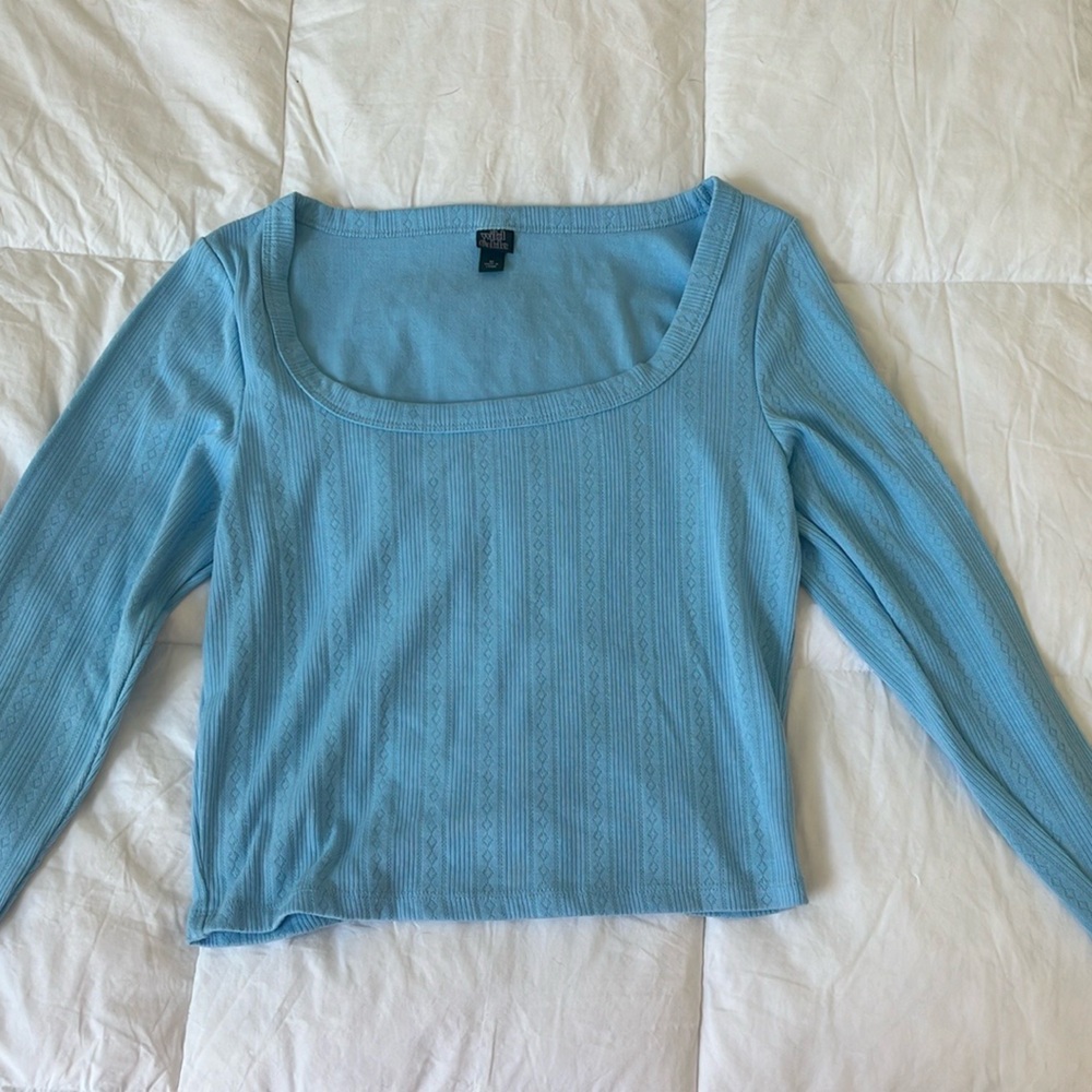 Wild Fable long sleeved blue cropped top.